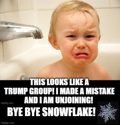 This looks like a Trump Group!! | BYE BYE SNOWFLAKE! | image tagged in liberal tears,stupid liberals | made w/ Imgflip meme maker