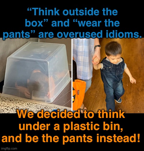New Idioms for 2020 | “Think outside the box” and “wear the pants” are overused idioms. We decided to think under a plastic bin, and be the pants instead! | image tagged in funny meme | made w/ Imgflip meme maker