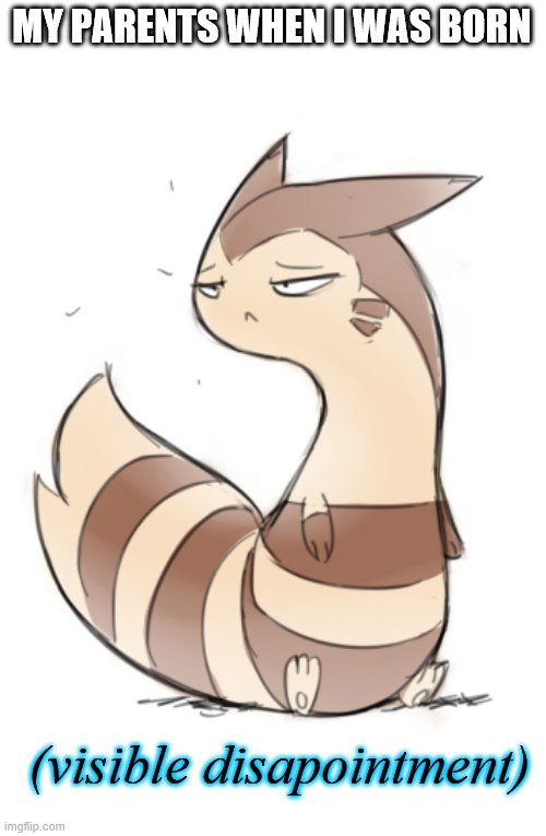 Furret visible disapointment | MY PARENTS WHEN I WAS BORN | image tagged in furret visible disapointment | made w/ Imgflip meme maker