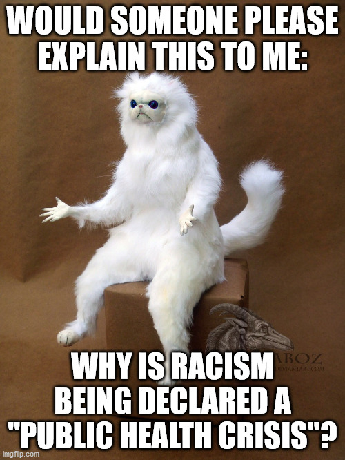 Public Health Crisis | WOULD SOMEONE PLEASE EXPLAIN THIS TO ME:; WHY IS RACISM BEING DECLARED A "PUBLIC HEALTH CRISIS"? | image tagged in memes,persian cat room guardian single | made w/ Imgflip meme maker