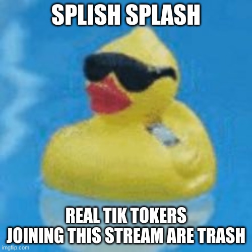 Tik tok | SPLISH SPLASH; REAL TIK TOKERS JOINING THIS STREAM ARE TRASH | image tagged in splish splsh,duck,tik tok | made w/ Imgflip meme maker
