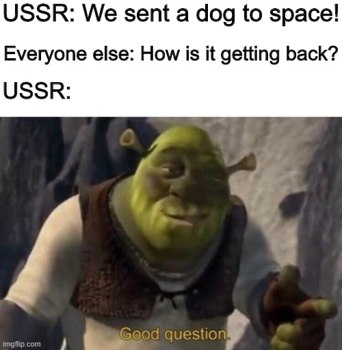 Press F for Laika | USSR: We sent a dog to space! Everyone else: How is it getting back? USSR: | image tagged in shrek good question,funny,memes,shrek,dogs | made w/ Imgflip meme maker