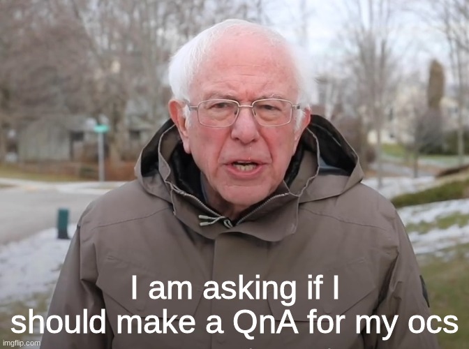 Do you think I should make an ocs QnA whwre you guys ask my ocs questions? | I am asking if I should make a QnA for my ocs | image tagged in bernie sanders once again asking | made w/ Imgflip meme maker