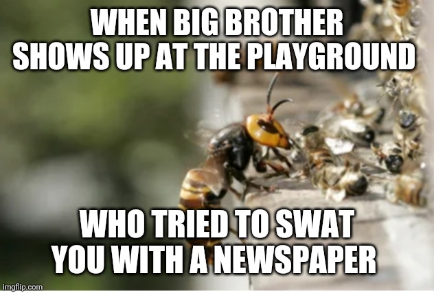 Big brother | WHEN BIG BROTHER SHOWS UP AT THE PLAYGROUND; WHO TRIED TO SWAT YOU WITH A NEWSPAPER | image tagged in murder hornet | made w/ Imgflip meme maker