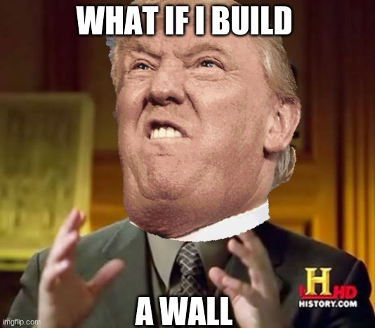 WHAT IF I BUILD; A WALL | image tagged in trump bruh | made w/ Imgflip meme maker