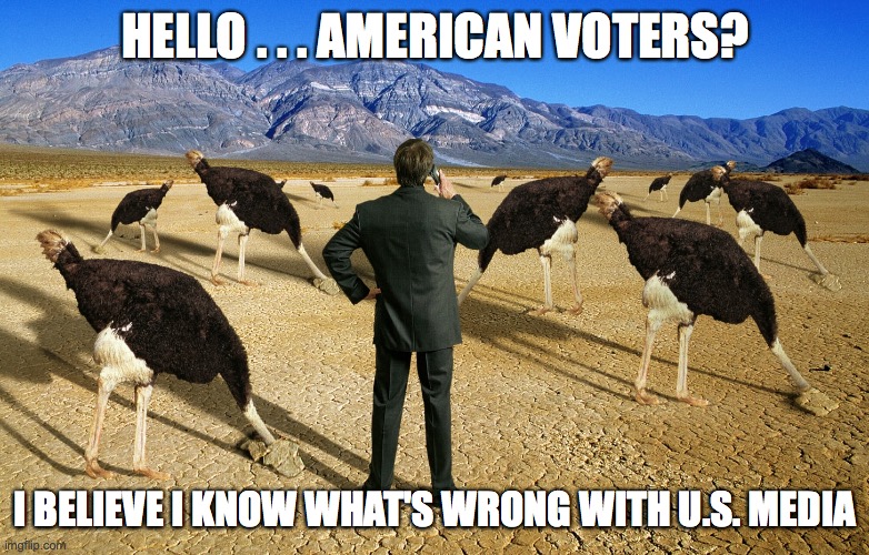The first step in solving a problem is getting your head out of the sand and admitting you have a problem. | HELLO . . . AMERICAN VOTERS? I BELIEVE I KNOW WHAT'S WRONG WITH U.S. MEDIA | image tagged in head in the sand,biased media | made w/ Imgflip meme maker