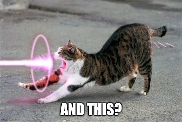 Kamehameha Cat | AND THIS? | image tagged in kamehameha cat | made w/ Imgflip meme maker