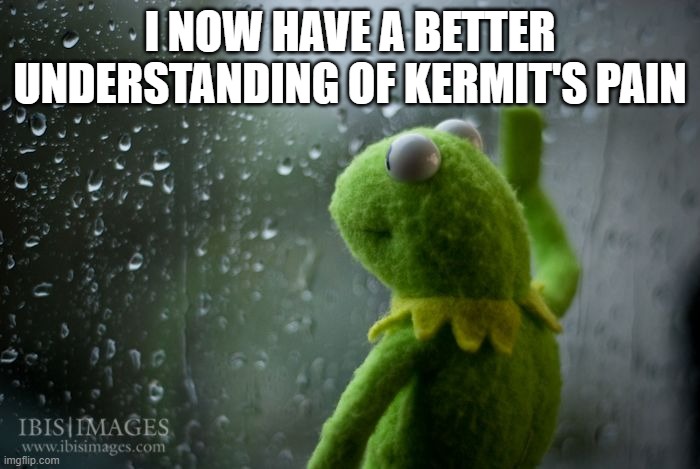 For real, a pig tried to ram me today. He got just close enough that I felt his tusks across my skin | I NOW HAVE A BETTER UNDERSTANDING OF KERMIT'S PAIN | image tagged in kermit window | made w/ Imgflip meme maker