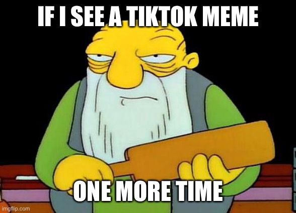 That's a paddlin' Meme | IF I SEE A TIKTOK MEME ONE MORE TIME | image tagged in memes,that's a paddlin' | made w/ Imgflip meme maker