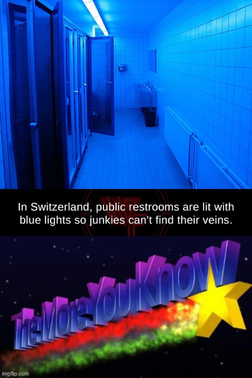Guess I won't use the bathroom in Switzerland. | image tagged in the more you know,drugs | made w/ Imgflip meme maker