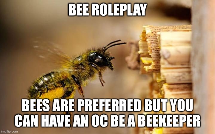 Yes yes yes yes yes | BEE ROLEPLAY; BEES ARE PREFERRED BUT YOU CAN HAVE AN OC BE A BEEKEEPER | image tagged in bee | made w/ Imgflip meme maker