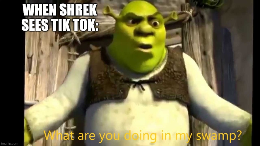 Shrek Hates Tik Tok | WHEN SHREK SEES TIK TOK: | image tagged in what are you doing in my swamp | made w/ Imgflip meme maker