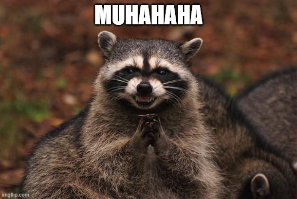 raccon | MUHAHAHA | image tagged in raccon | made w/ Imgflip meme maker