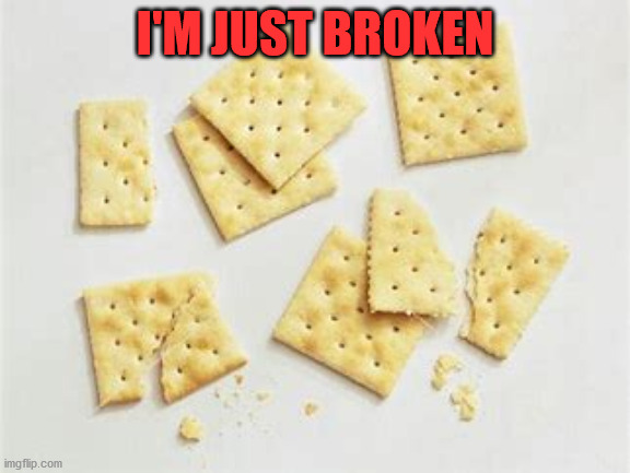 Broke crackers | I'M JUST BROKEN | image tagged in broke crackers | made w/ Imgflip meme maker