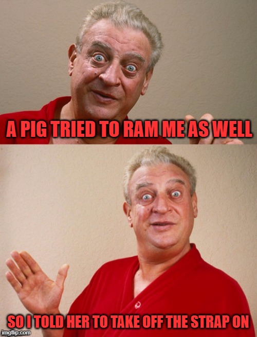 Classic Rodney | A PIG TRIED TO RAM ME AS WELL SO I TOLD HER TO TAKE OFF THE STRAP ON | image tagged in classic rodney | made w/ Imgflip meme maker