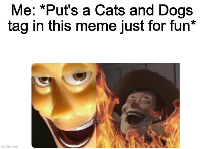 Satanic Woody | Me: *Put's a Cats and Dogs tag in this meme just for fun* | image tagged in satanic woody,cats,dogs | made w/ Imgflip meme maker