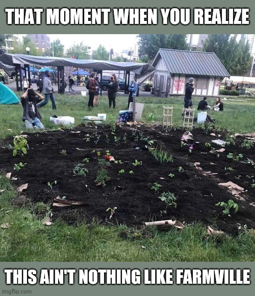 Bloomberg may have oversimplified farming just a little bit. | THAT MOMENT WHEN YOU REALIZE; THIS AIN'T NOTHING LIKE FARMVILLE | image tagged in chaz,farming,farmville | made w/ Imgflip meme maker