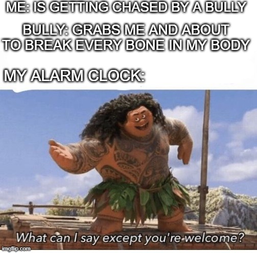 What can I say except you're welcome? | ME: IS GETTING CHASED BY A BULLY; BULLY: GRABS ME AND ABOUT TO BREAK EVERY BONE IN MY BODY; MY ALARM CLOCK: | image tagged in what can i say except you're welcome | made w/ Imgflip meme maker