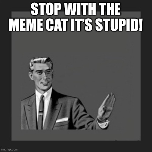 Kill Yourself Guy Meme | STOP WITH THE MEME CAT IT’S STUPID! | image tagged in memes,kill yourself guy | made w/ Imgflip meme maker