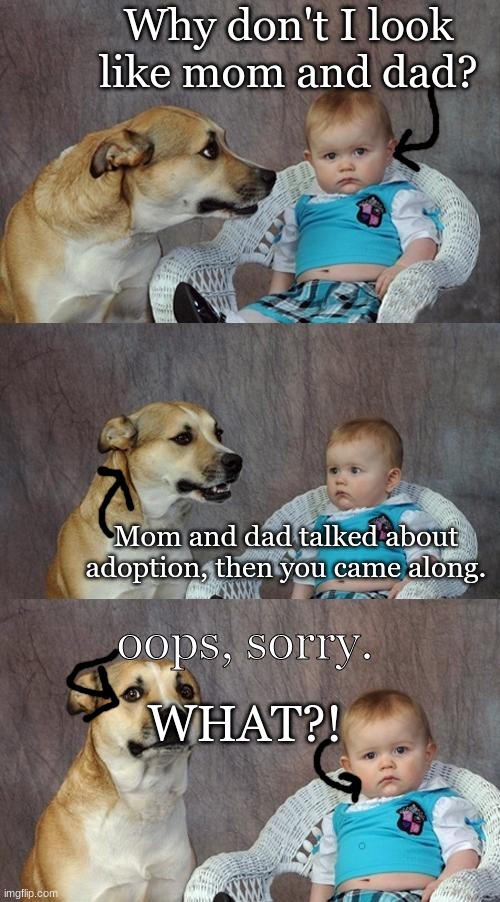 Reality kid | Why don't I look like mom and dad? Mom and dad talked about adoption, then you came along. oops, sorry. WHAT?! | image tagged in memes,dad joke dog | made w/ Imgflip meme maker