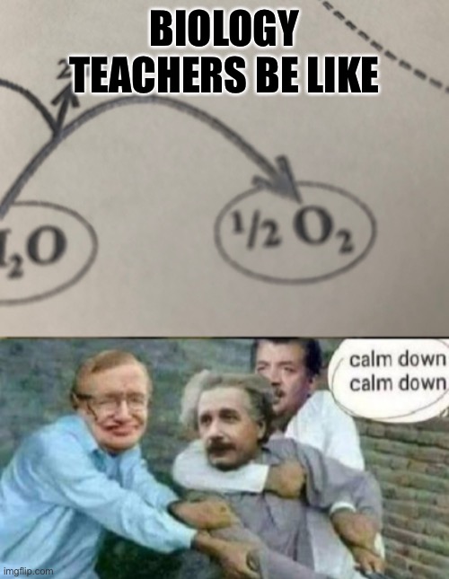 Biology teachers | BIOLOGY TEACHERS BE LIKE | image tagged in calm down albert einstein | made w/ Imgflip meme maker