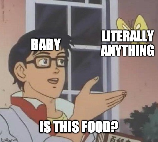 Babys | BABY; LITERALLY ANYTHING; IS THIS FOOD? | image tagged in memes,is this a pigeon | made w/ Imgflip meme maker