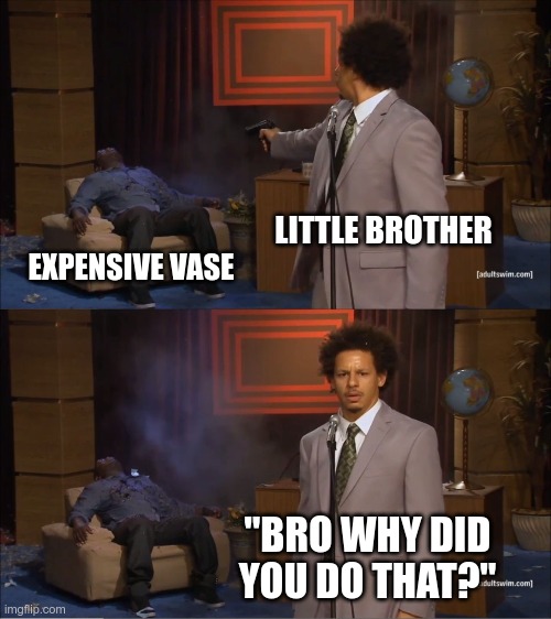 Who Killed Hannibal | LITTLE BROTHER; EXPENSIVE VASE; "BRO WHY DID YOU DO THAT?" | image tagged in memes,who killed hannibal | made w/ Imgflip meme maker