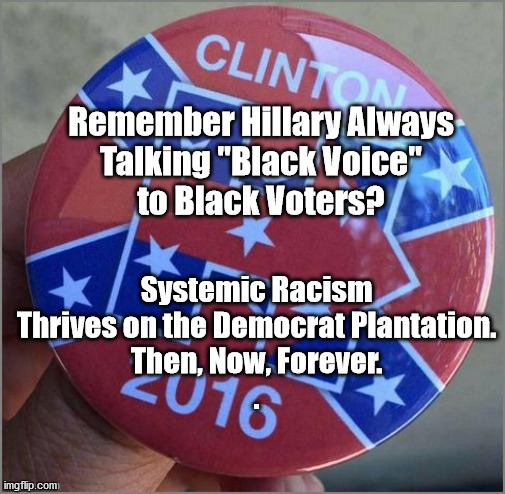 Democrat Systemic Racism | image tagged in memes,hillary,biden,trump2020,election day,systemic racism | made w/ Imgflip meme maker