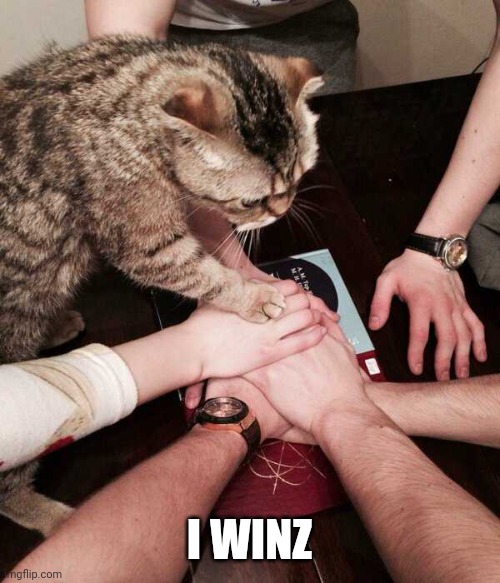 KITTY WINS | I WINZ | image tagged in cats,funny cats | made w/ Imgflip meme maker