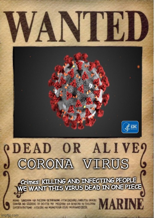 One piece wanted poster template | CORONA VIRUS; Crimes: KILLING AND INFECTING PEOPLE 
WE WANT THIS VIRUS DEAD IN ONE PIECE | image tagged in one piece wanted poster template | made w/ Imgflip meme maker