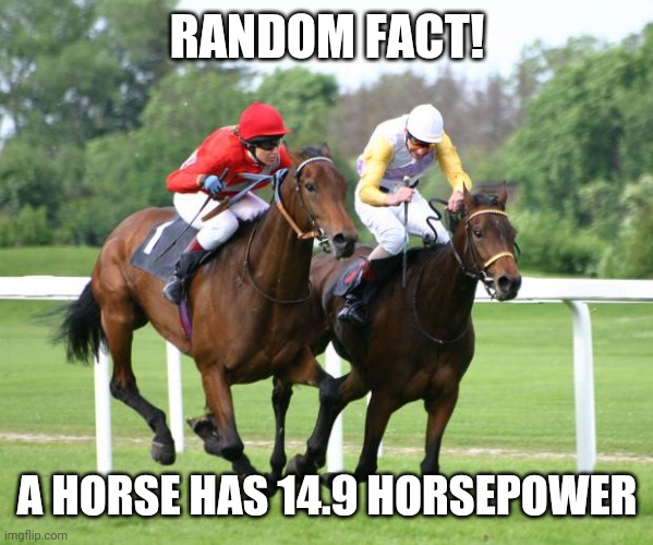 two horses racing | RANDOM FACT! A HORSE HAS 14.9 HORSEPOWER | image tagged in two horses racing | made w/ Imgflip meme maker