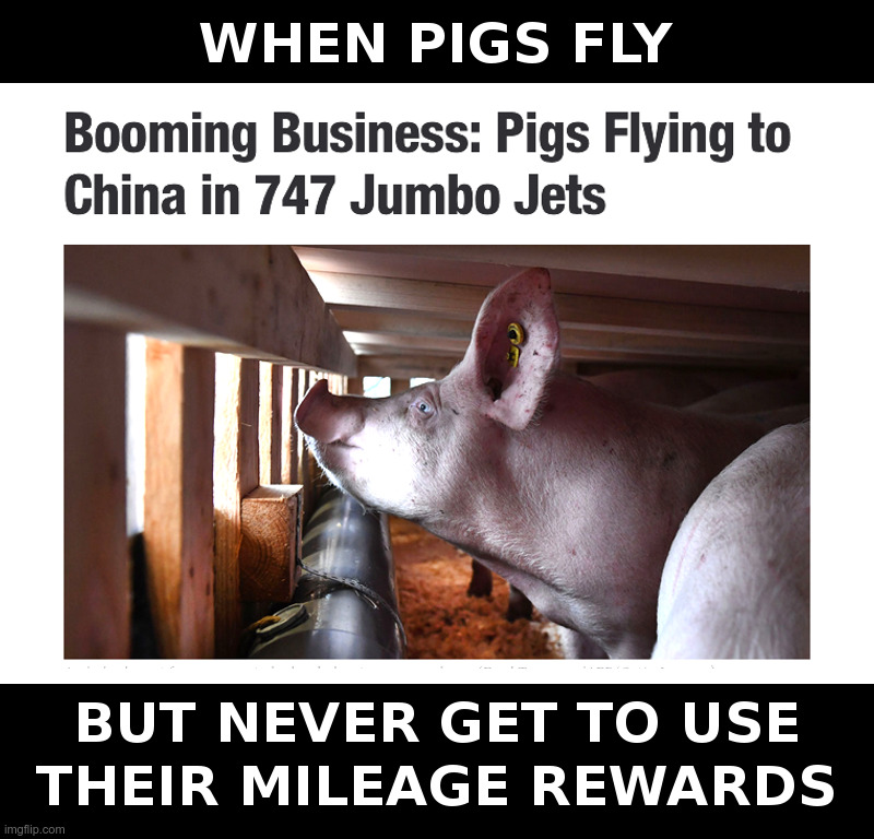 When Pigs Fly | image tagged in boeing 747,pigs,pork,commies,not,vegans | made w/ Imgflip meme maker