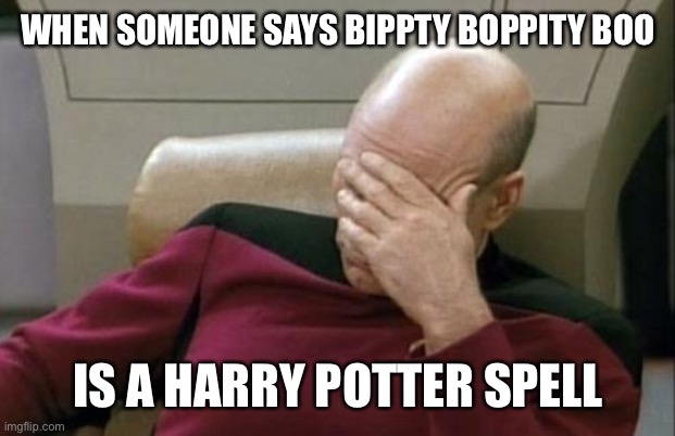 Someone actually asked me this. They also asked about hocus pocus and alakazam. I hate when people treat hp like a little kids s | WHEN SOMEONE SAYS BIPPTY BOPPITY BOO; IS A HARRY POTTER SPELL | image tagged in memes,captain picard facepalm | made w/ Imgflip meme maker