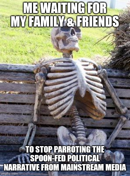 Freethinking encouraged | ME WAITING FOR MY FAMILY & FRIENDS; TO STOP PARROTING THE SPOON-FED POLITICAL NARRATIVE FROM MAINSTREAM MEDIA | image tagged in memes,waiting skeleton,politics,fox news,msnbc,cnn fake news | made w/ Imgflip meme maker
