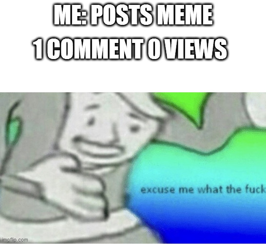 ME: POSTS MEME 1 COMMENT 0 VIEWS | image tagged in excuse me wtf blank template | made w/ Imgflip meme maker