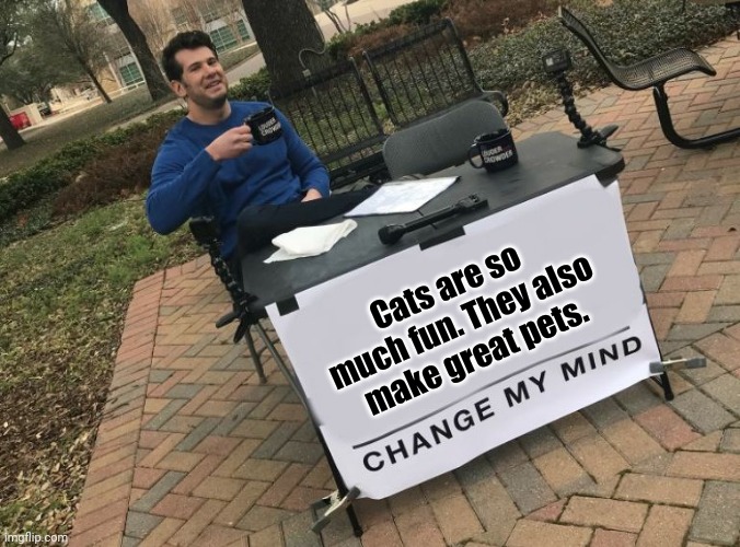 Change my mind Crowder | Cats are so much fun. They also make great pets. | image tagged in change my mind crowder,change my mind,cats,cat,memes,meme | made w/ Imgflip meme maker