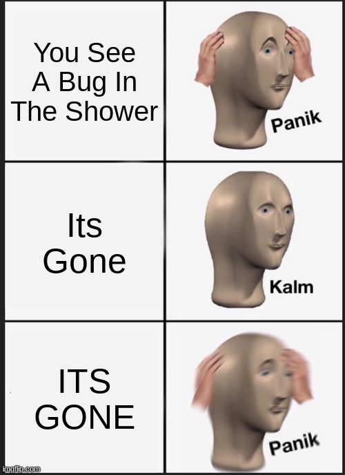 Panik Kalm Panik | You See A Bug In The Shower; Its Gone; ITS GONE | image tagged in memes,panik kalm panik | made w/ Imgflip meme maker