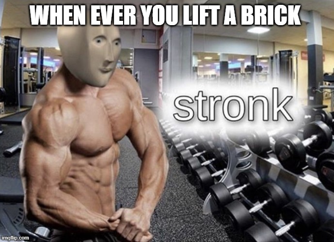 Stronk | WHEN EVER YOU LIFT A BRICK | image tagged in meme man stronk | made w/ Imgflip meme maker