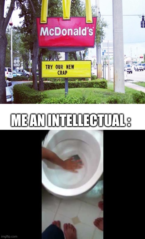 ME AN INTELLECTUAL : | image tagged in funny,memes | made w/ Imgflip meme maker