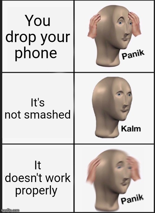 Just a random panik, kalm, panic meme | You drop your phone; It's not smashed; It doesn't work properly | image tagged in memes,panik kalm panik | made w/ Imgflip meme maker