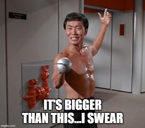 Swashbuckling Sulu | IT'S BIGGER THAN THIS...I SWEAR | image tagged in sulu sword | made w/ Imgflip meme maker