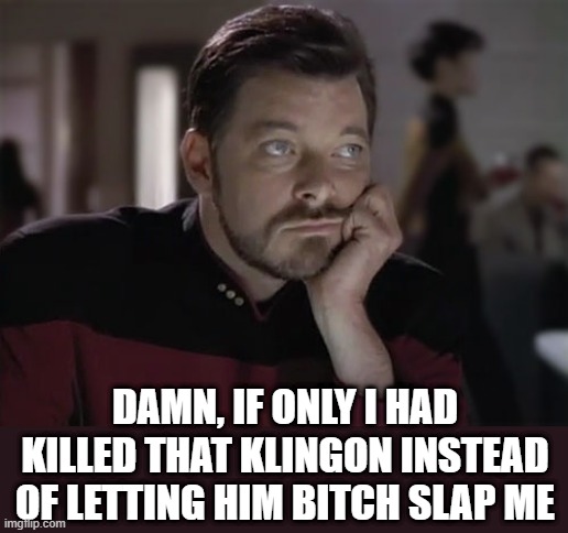 Wishful Thinking Will | DAMN, IF ONLY I HAD KILLED THAT KLINGON INSTEAD OF LETTING HIM BITCH SLAP ME | image tagged in sad riker | made w/ Imgflip meme maker