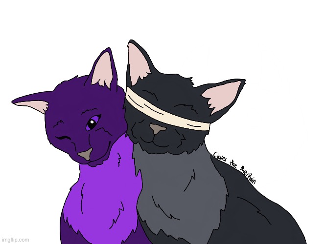 Starspeaker (Starflight x Fatespeaker) ship as cats :) yes I drew this myself | image tagged in wings of fire,cats | made w/ Imgflip meme maker