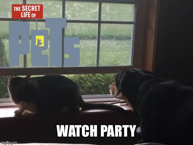 Petflix | WATCH PARTY | image tagged in nittany,dray,secret life of pets,watch party,petflix | made w/ Imgflip meme maker