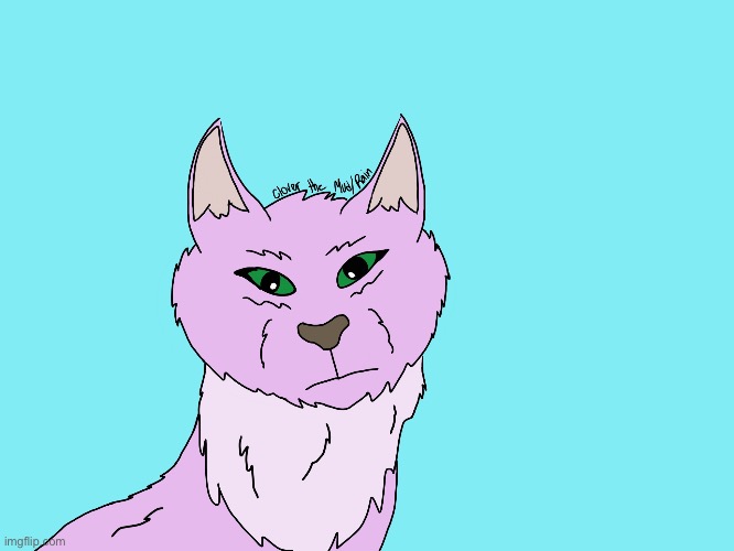Grandeur the RainWing as a cat :) I did draw this myself | image tagged in wings of fire,cats | made w/ Imgflip meme maker