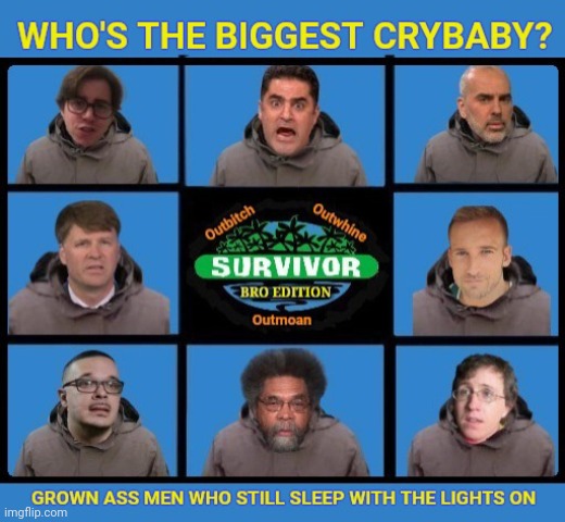 Survivor BernieBro edition | image tagged in bernie sanders,survivor,crybabies,socialist,twitter | made w/ Imgflip meme maker