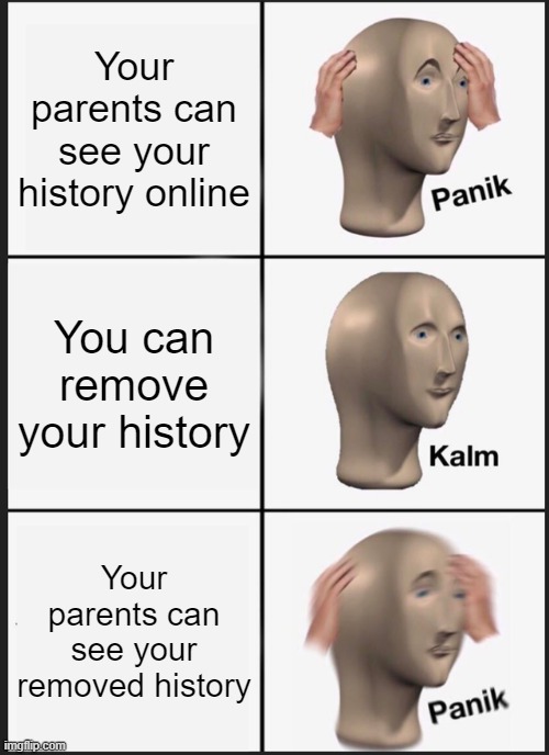 Panik Kalm Panik | Your parents can see your history online; You can remove your history; Your parents can see your removed history | image tagged in memes,panik kalm panik | made w/ Imgflip meme maker