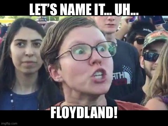 Angry sjw | LET’S NAME IT... UH... FLOYDLAND! | image tagged in angry sjw | made w/ Imgflip meme maker