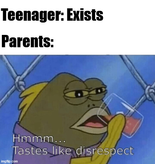 Ye | Teenager: Exists; Parents: | image tagged in blank tastes like disrespect,memes,teenagers,disrespect | made w/ Imgflip meme maker
