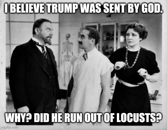 Groucho beard | I BELIEVE TRUMP WAS SENT BY GOD. WHY? DID HE RUN OUT OF LOCUSTS? | image tagged in groucho beard | made w/ Imgflip meme maker
